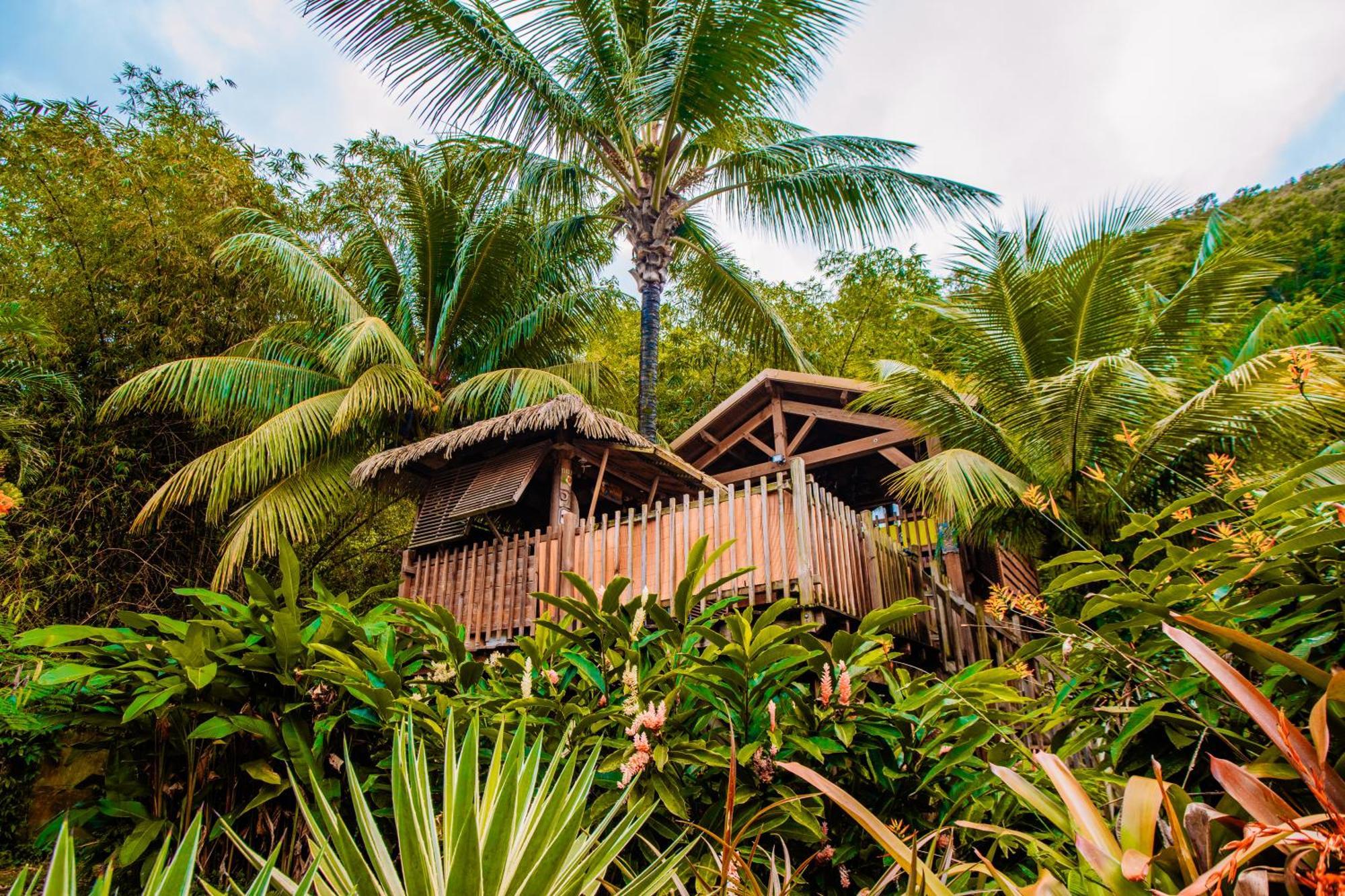 West Indies Cottage Pointe-Noire Extérieur photo