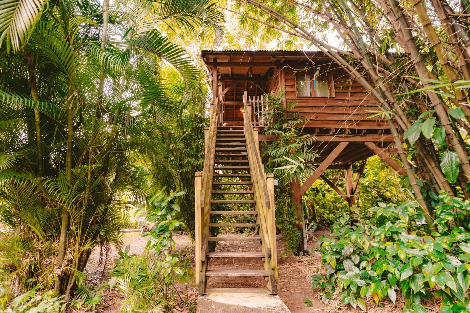 West Indies Cottage Pointe-Noire Extérieur photo