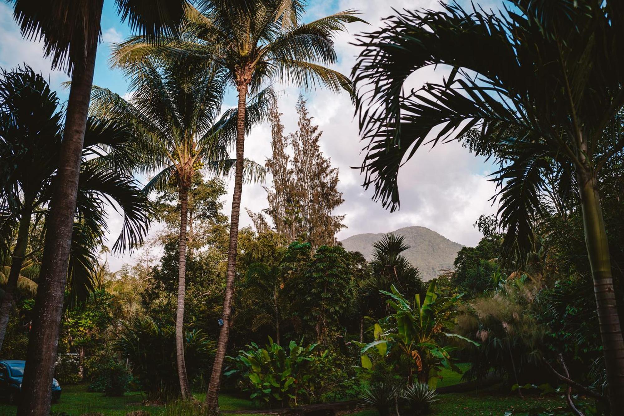 West Indies Cottage Pointe-Noire Extérieur photo