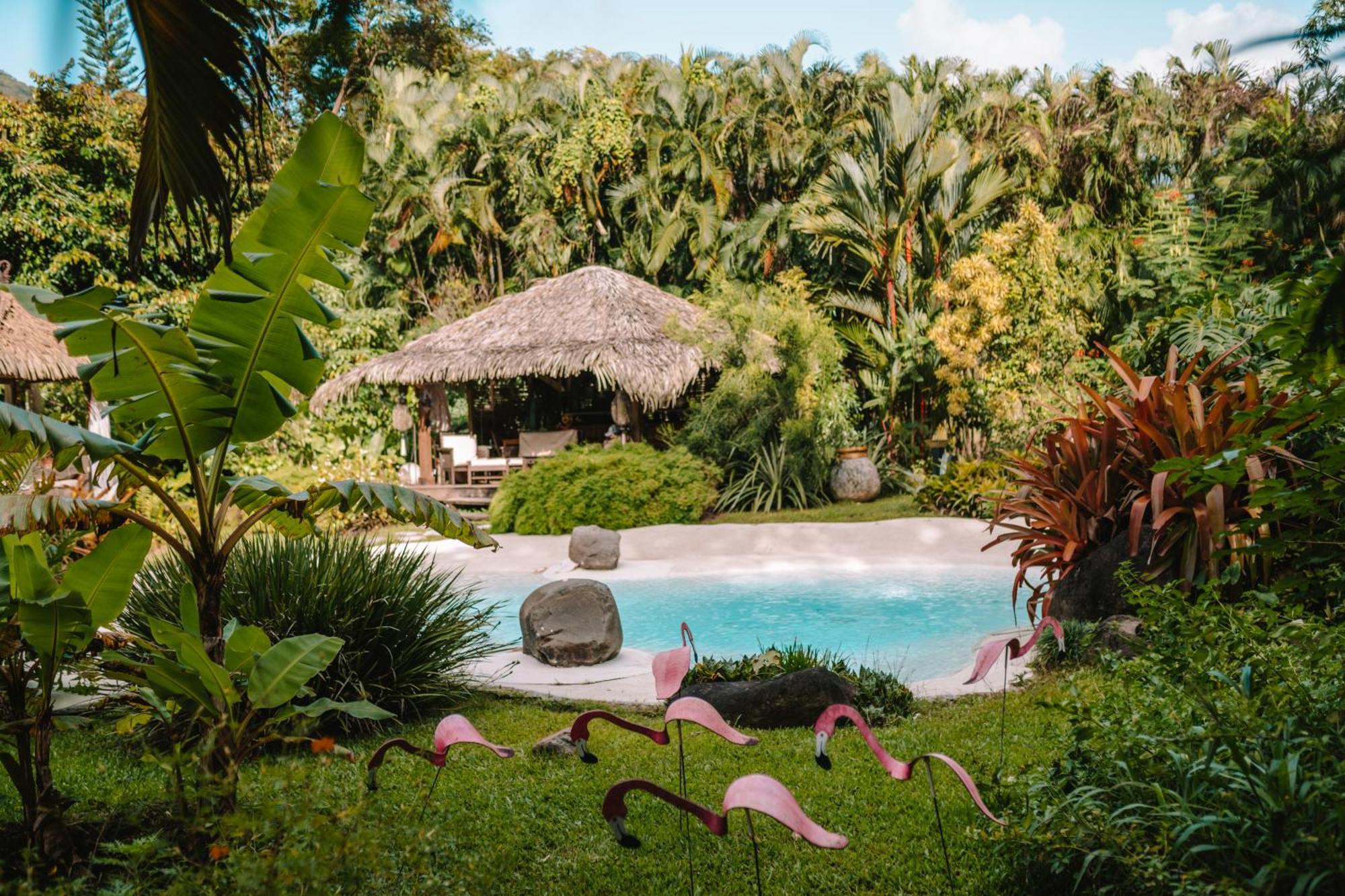 West Indies Cottage Pointe-Noire Extérieur photo
