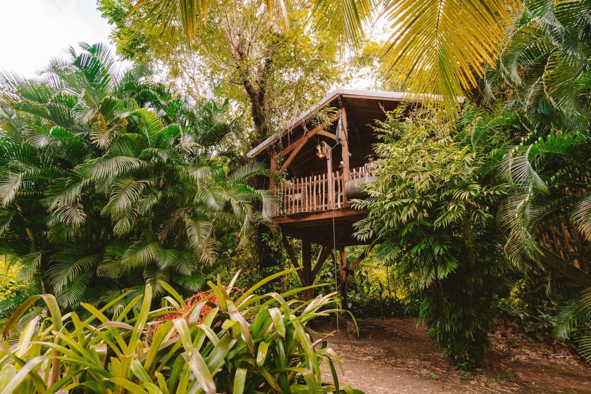 West Indies Cottage Pointe-Noire Extérieur photo